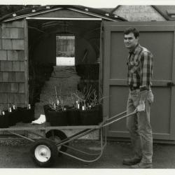 Peter Linsner moving plants with wheelbarrow 