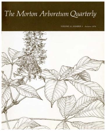 The Morton Arboretum Quarterly V. 10 No. 03
