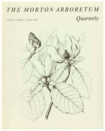 The Morton Arboretum Quarterly V. 01 No. 02