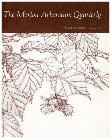 The Morton Arboretum Quarterly V. 11 No. 03