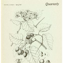 The Morton Arboretum Quarterly V. 01 No. 01