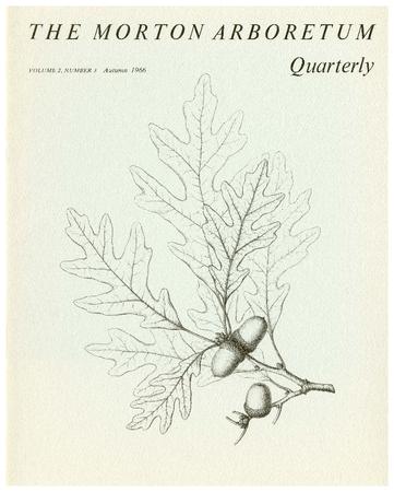 The Morton Arboretum Quarterly V. 02 No. 03