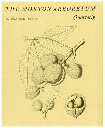 The Morton Arboretum Quarterly V. 06 No. 03