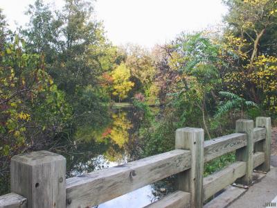 View from bridge over Willoway Brook at Lake Marmo