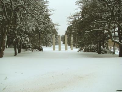 Four Columns in Winter