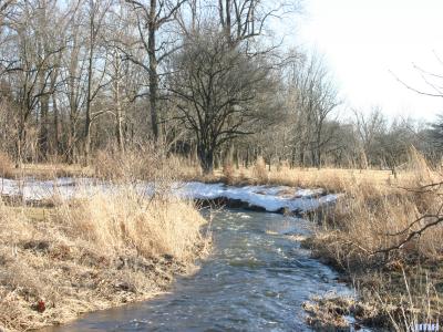 Willoway Brook, winter