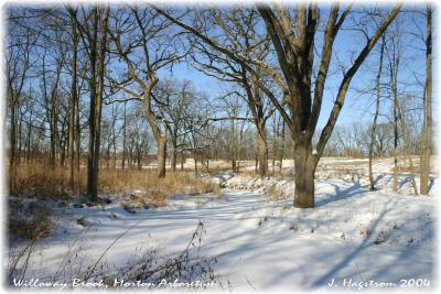 Willoway Brook, winter