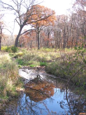 Willoway Brook, autumn