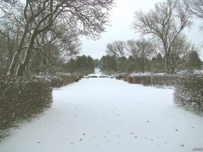 View looking east down Hedge Garden axis toward Four Columns, winter