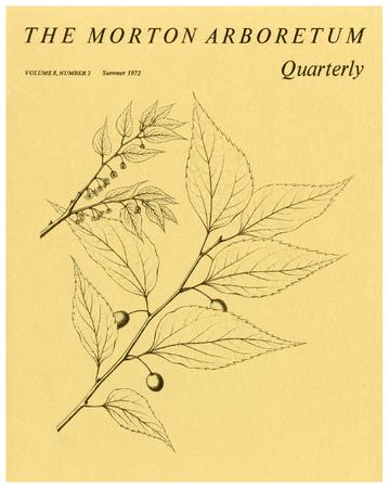 The Morton Arboretum Quarterly V. 08 No. 02