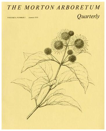 The Morton Arboretum Quarterly V. 06 No. 02