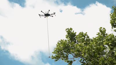 Research Experience for Undergraduates (REU) Student and Arboretum Staff Flying Drone 