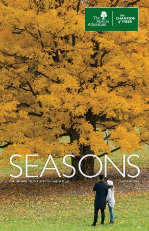 Seasons: Autumn 2019