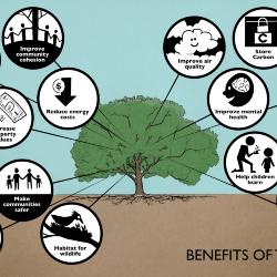 Benefits of Trees Illustration 