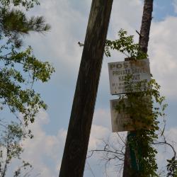 Private drive signage, Jasper County, Mississippi