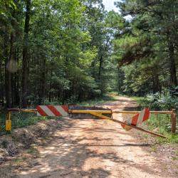 Gate to FR 547-C, Bienville National Forest