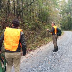 Roadside collecting at Talladega National Forest, Oakmulgee District