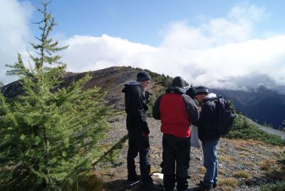 Seed collecting group at Hart's Pass