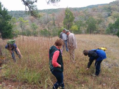 Plant collecting in the Bibb County Glades