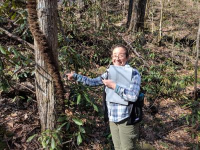 Kim Shearer with large poison ivy vine, North Carolina