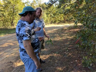 Todd Lasseigne and Adam Black by Quercus imbricaria, Louisiana