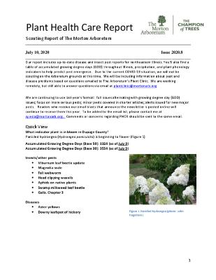 Plant Health Care Report: Issue 2020.8