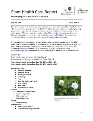 Plant Health Care Report: Issue 2020.5