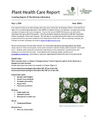 Plant Health Care Report: Issue 2020.3