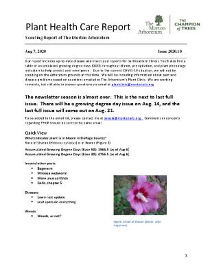 Plant Health Care Report: Issue 2020.10