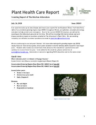 Plant Health Care Report: Issue 2020.9