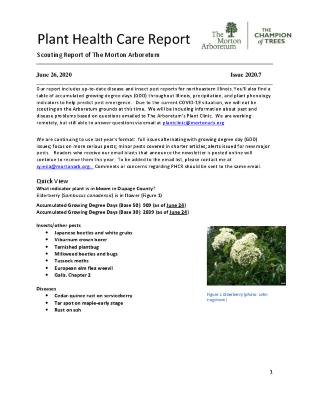 Plant Health Care Report: Issue 2020.7