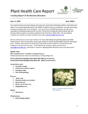 Plant Health Care Report: Issue 2020.6