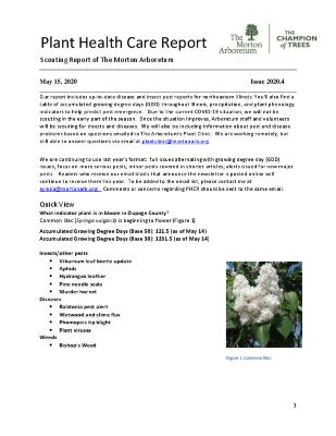 Plant Health Care Report: Issue 2020.4
