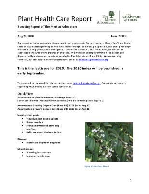 Plant Health Care Report: Issue 2020.11