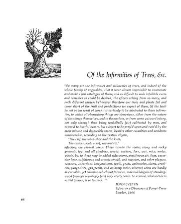 Of the Infirmities of Trees, & c.