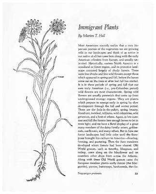 Immigrant Plants