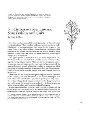 Site Changes and Root Damage: Some Problems with Oaks