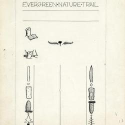 Evergreen Nature Trail Guide, page 3 illustrations and layout