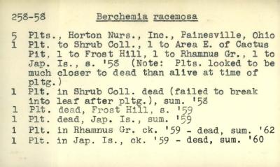 Plant Records Card Catalog, Berchemia (supplejack)