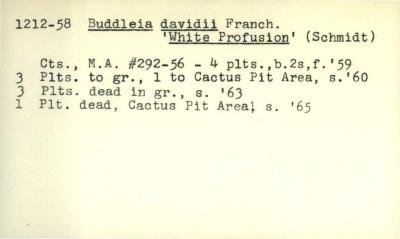 Plant Records Card Catalog, Buddleia (butterflybush)