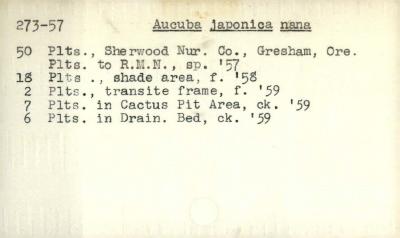 Plant Records Card Catalog, Aucuba (aucuba)