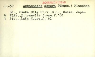 Plant Records Card Catalog, Aphananthe (aphananthe)