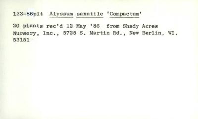 Plant Records Card Catalog, Alyssum (madwort)