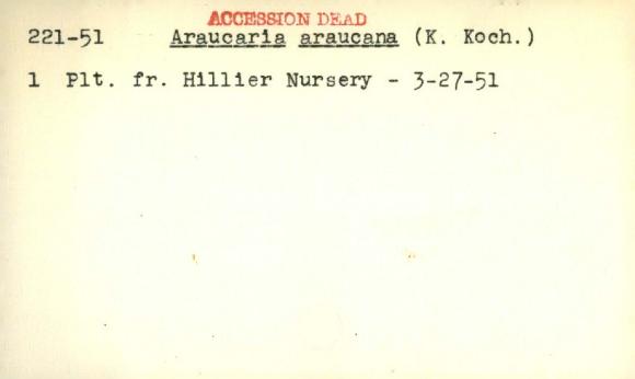 Plant Records Card Catalog, Araucaria (araucaria)
