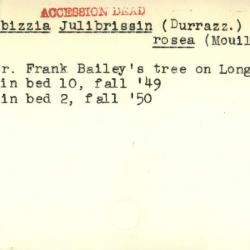 Plant Records Card Catalog, Albizzia (silk tree)