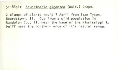 Plant Records Card Catalog, Arundinaria (cane)