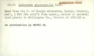 Plant Records Card Catalog, Andromeda (bog rosemary)