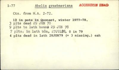 Plant Records Card Catalog, Abelia (abelia)
