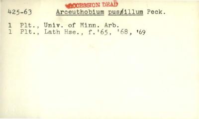 Plant Records Card Catalog, Arceuthobium (dwarf mistletoe)