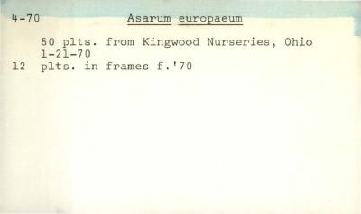 Plant Records Card Catalog, Asarum (wild ginger)